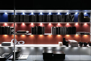 Collectus Boiseriesystem  by  Valcucine