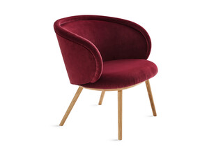 Ona cocktail armchair with wooden frame  by  Freifrau